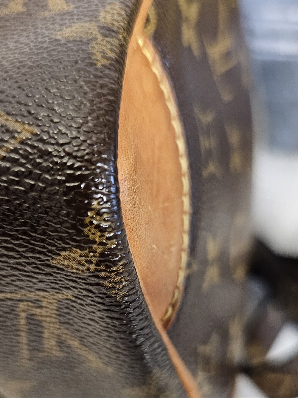 Louis Vuitton Monogram Amazone Crossbody - Picture 9 of 16